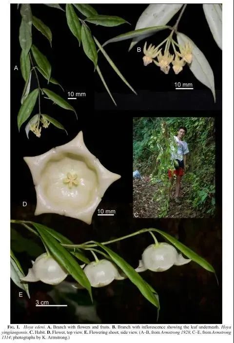 云南广播电视台(微信)