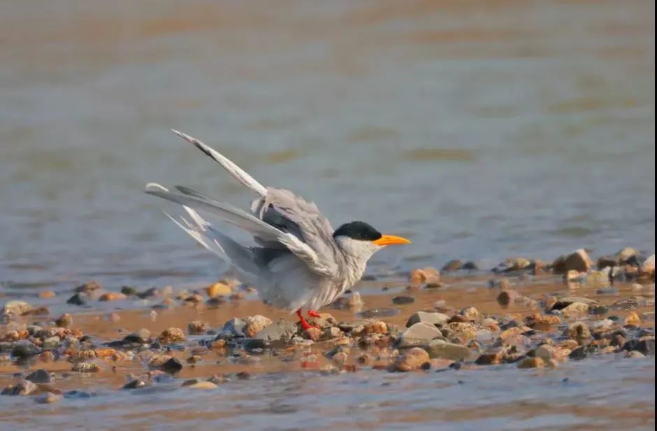 云南广播电视台(微信)