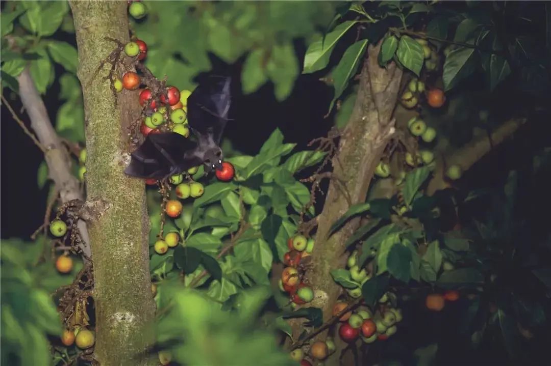 云南广播电视台(微信)