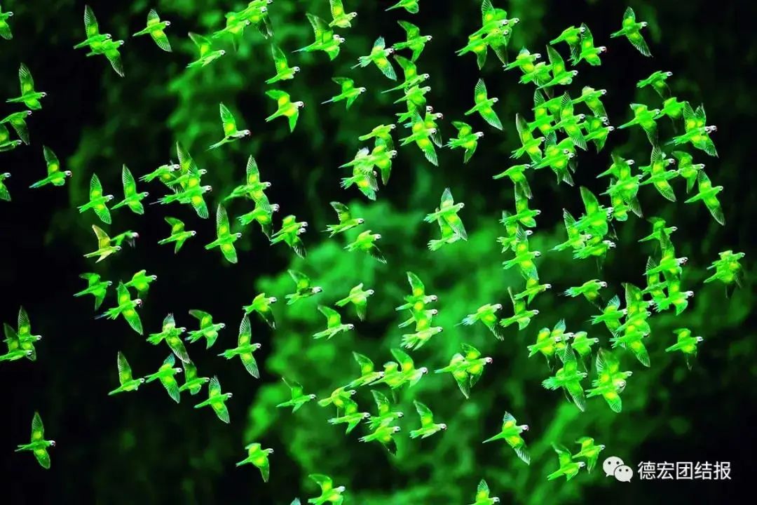 云南广播电视台(微信)