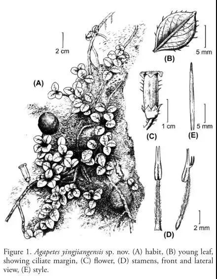 云南广播电视台(微信)
