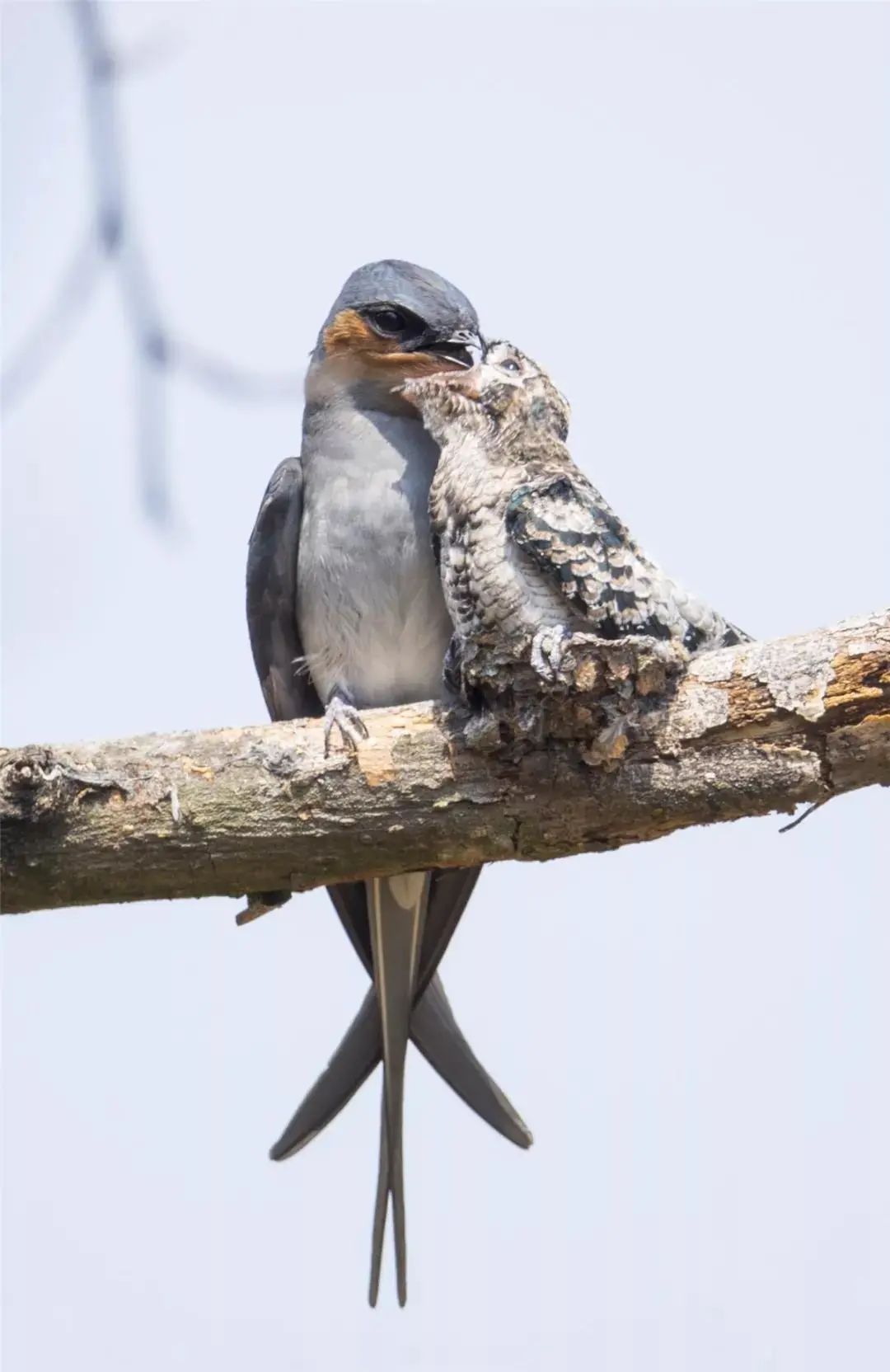 云南广播电视台(微信)