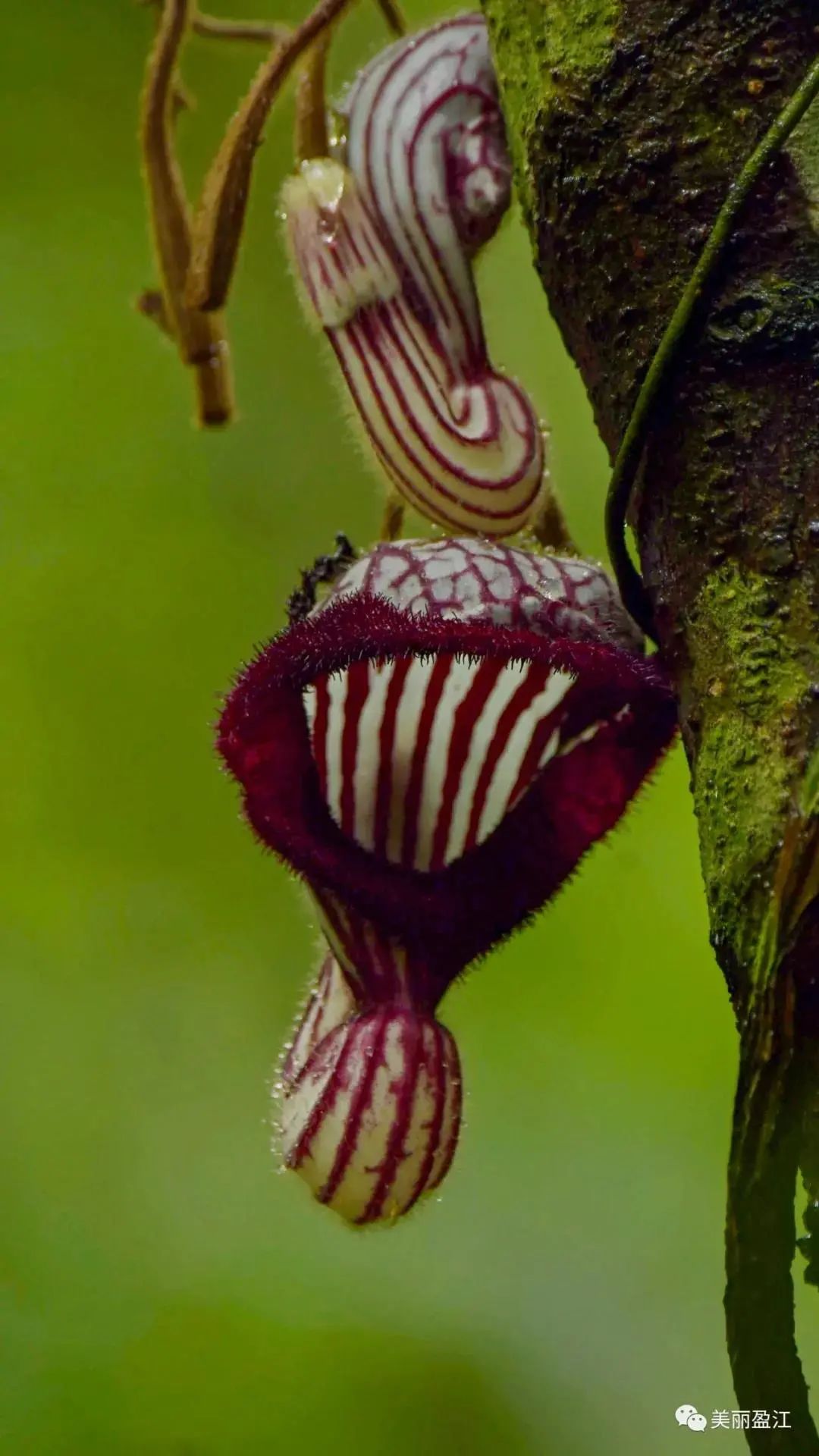 云南广播电视台(微信)