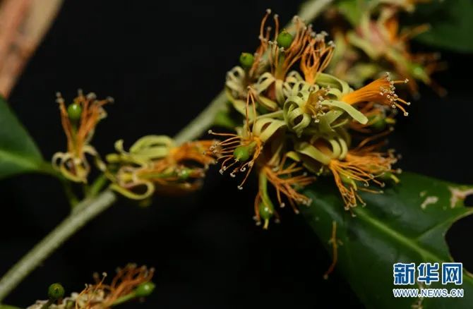 云南广播电视台(微信)