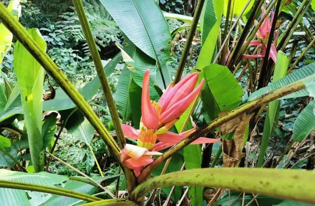 云南广播电视台(微信)