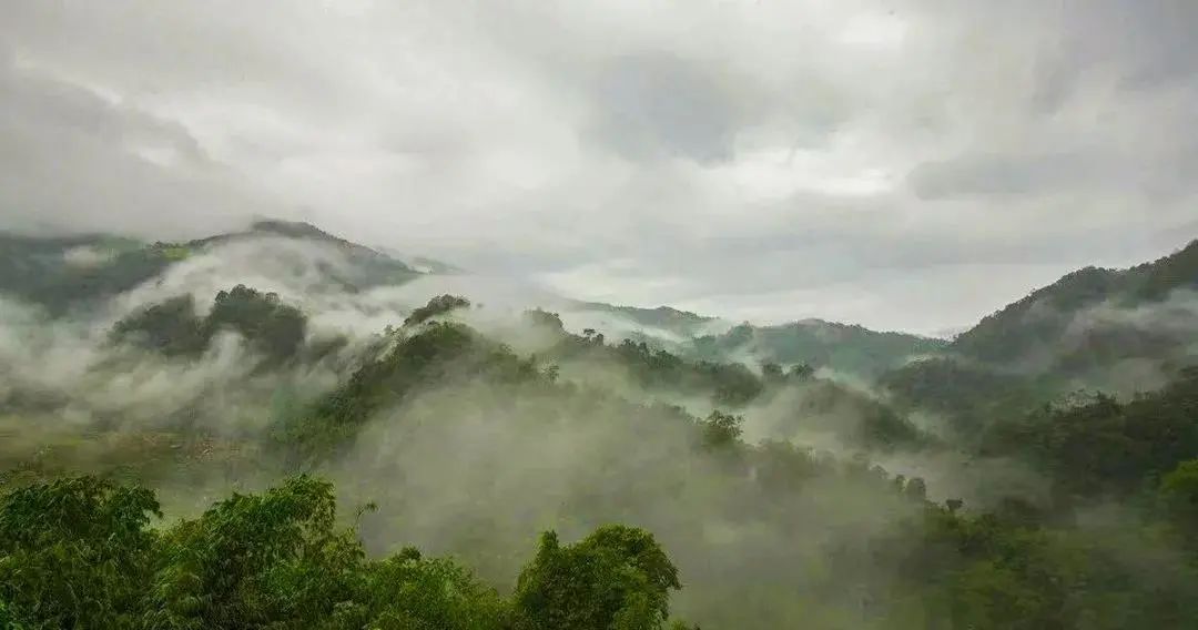 云南广播电视台(微信)