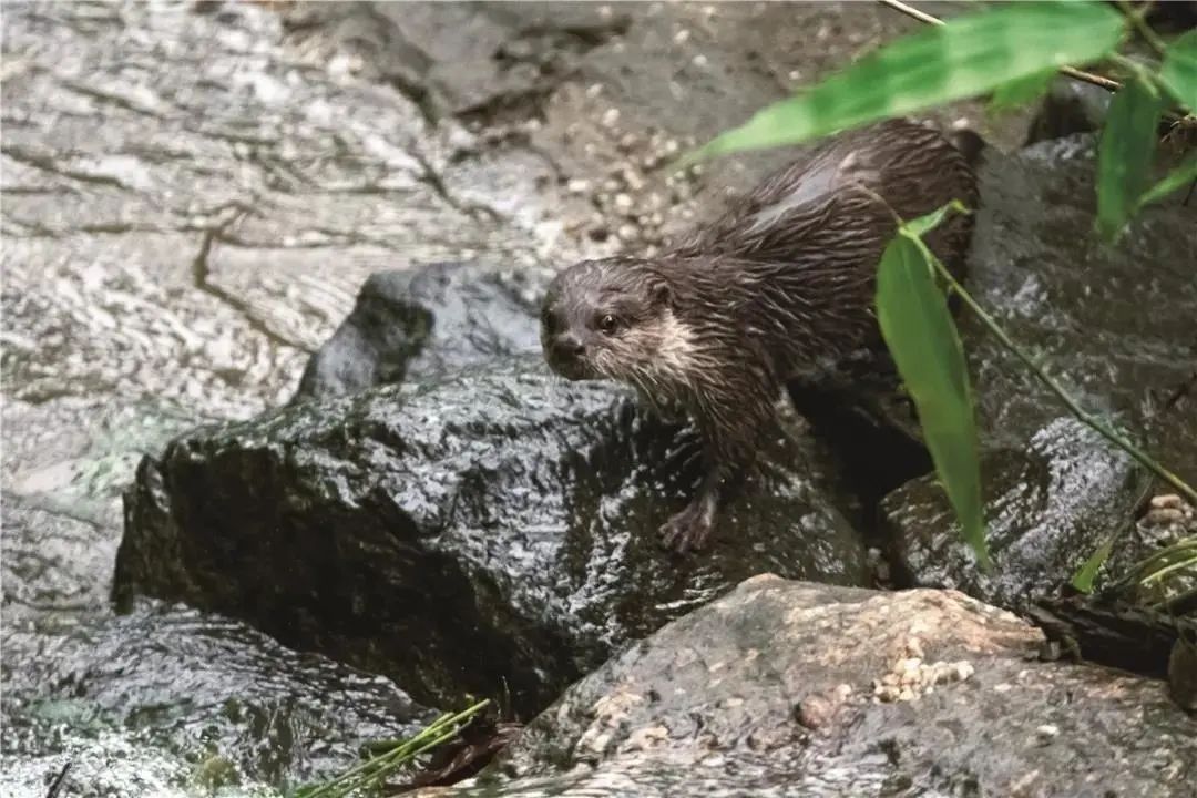 云南广播电视台(微信)