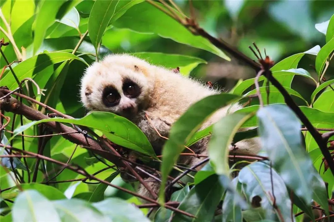 云南广播电视台(微信)