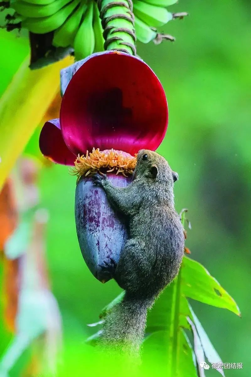 云南广播电视台(微信)