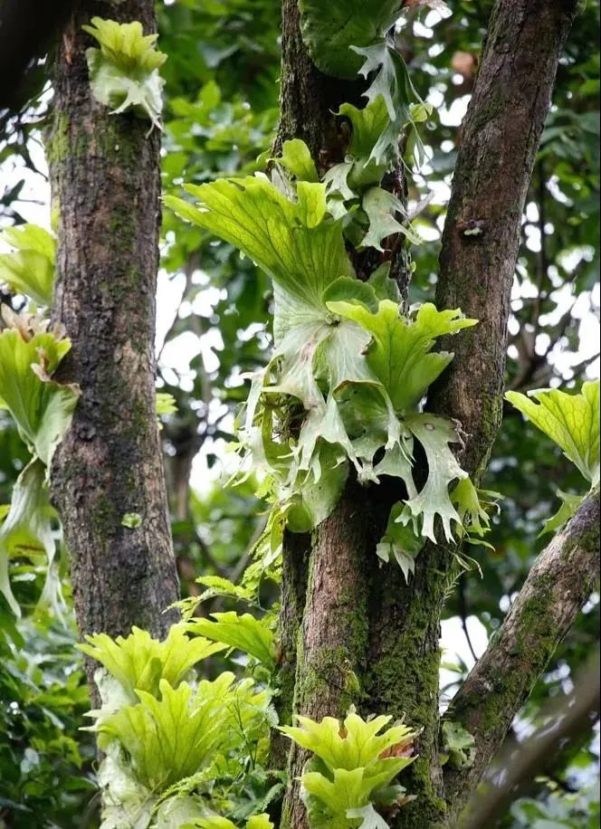 云南广播电视台(微信)