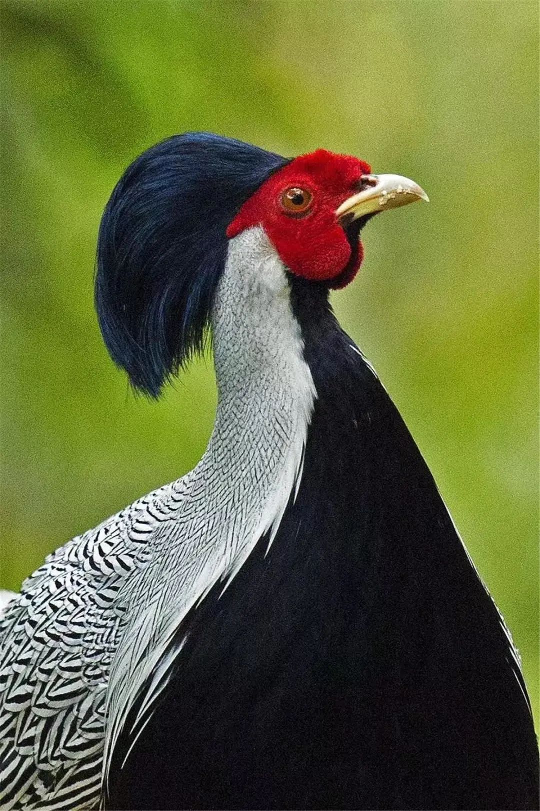 云南广播电视台(微信)