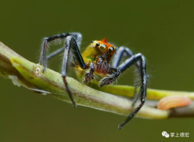 云南广播电视台(微信)