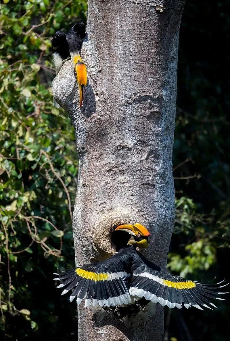 云南广播电视台(微信)