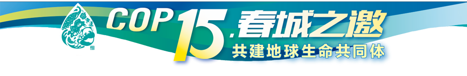 丽江日报(微信)