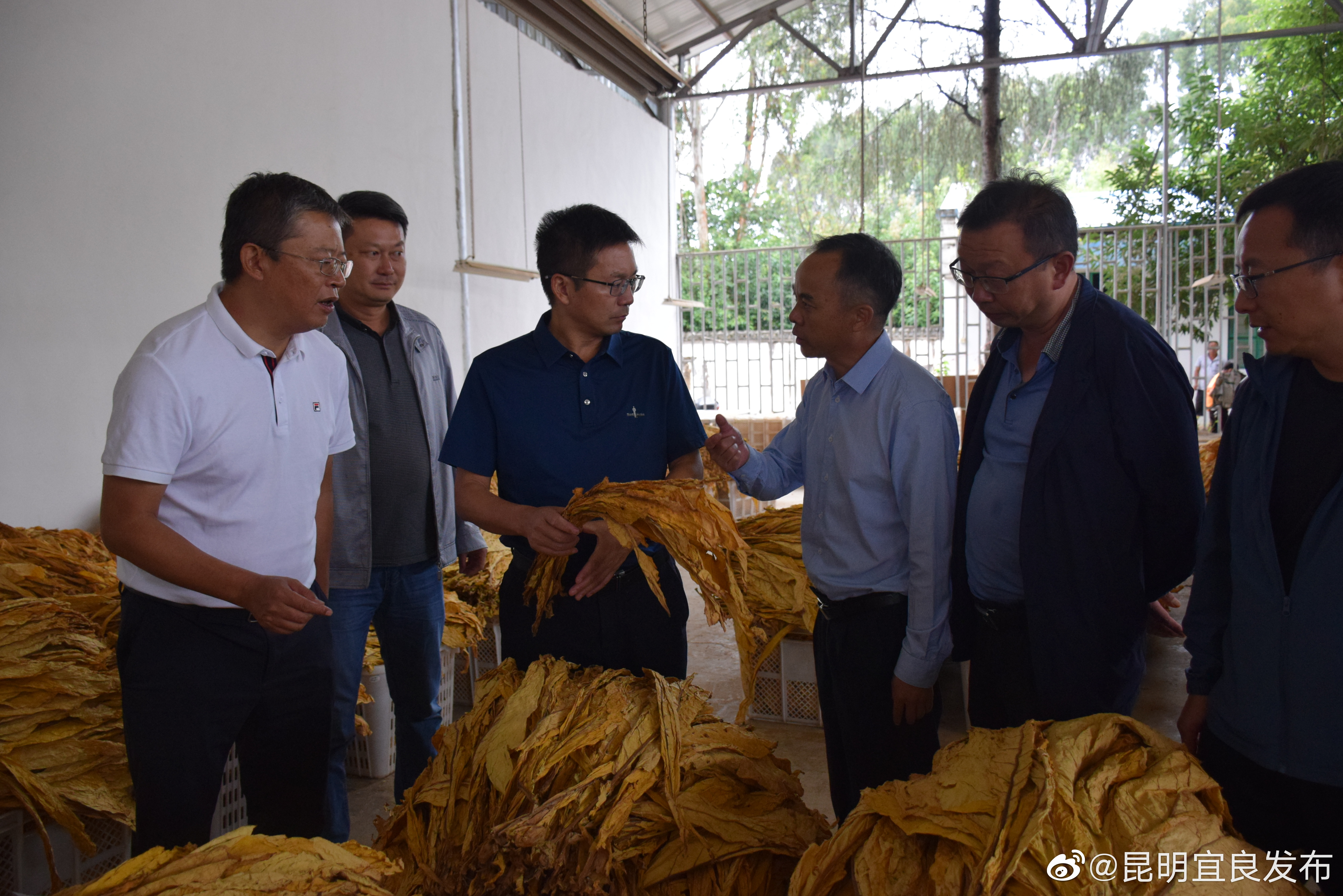 “昆明宜良发布”微博