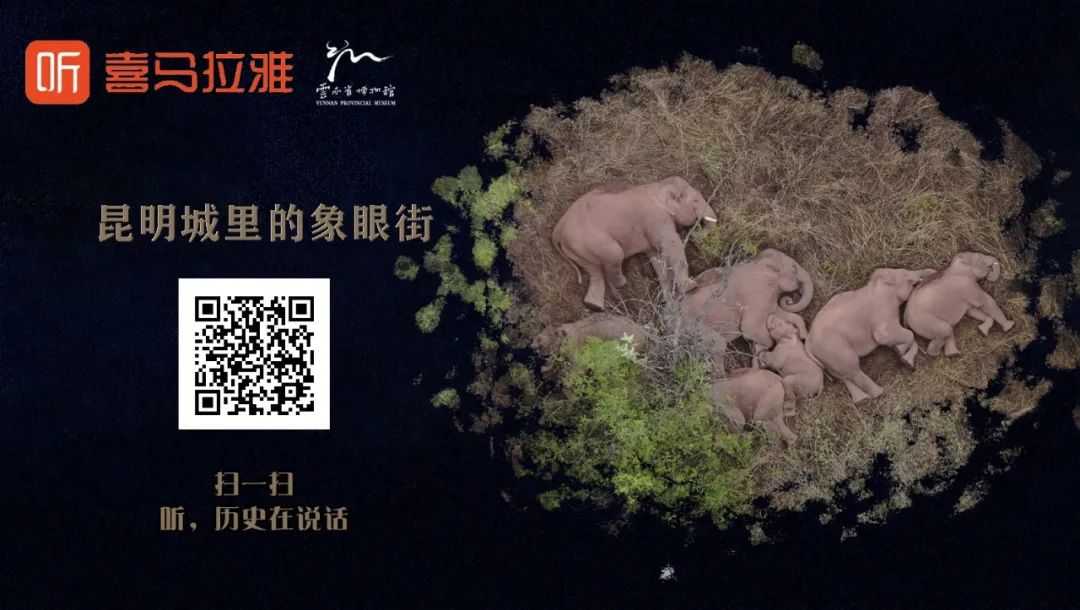 云南省博物馆(微信)
