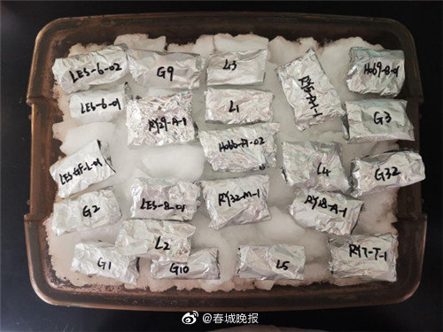 神舟十二号携云南航天菌种回归