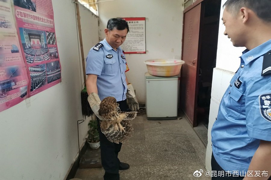 “昆明市西山区发布”微博