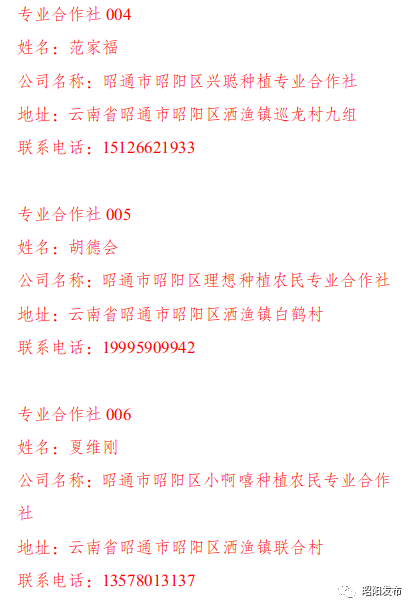 昭通日报(微信)