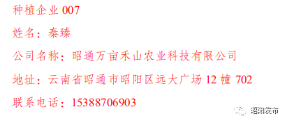 昭通日报(微信)
