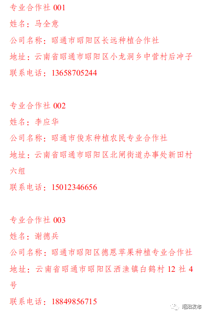 昭通日报(微信)