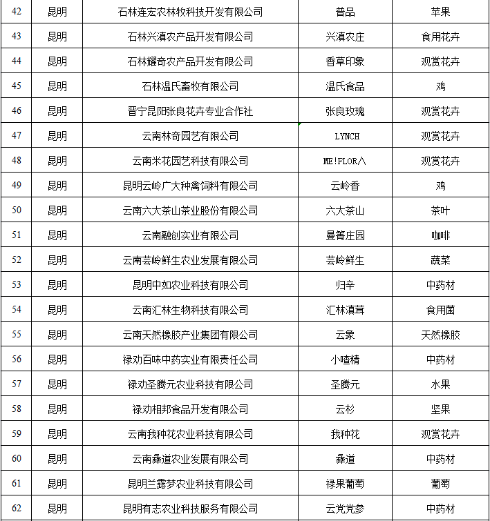 云南省人民政府网