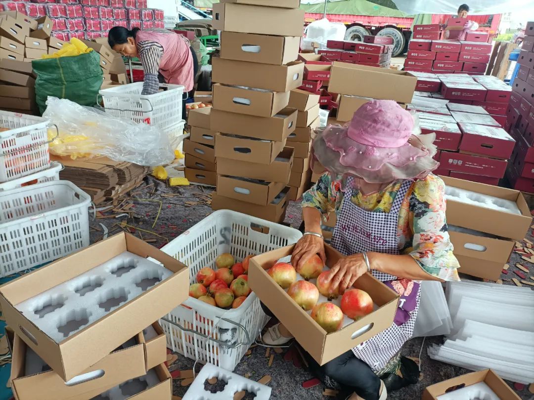 丽江日报(微信)