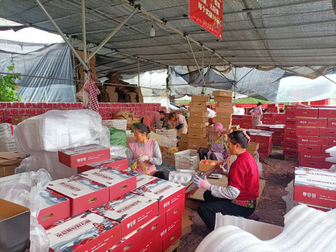 丽江日报(微信)