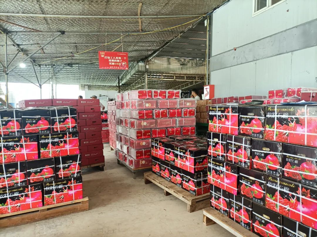 丽江日报(微信)