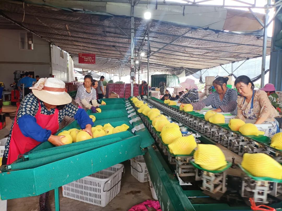 丽江日报(微信)