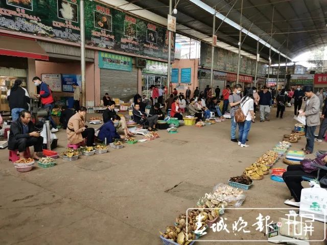 春城晚报(微信)