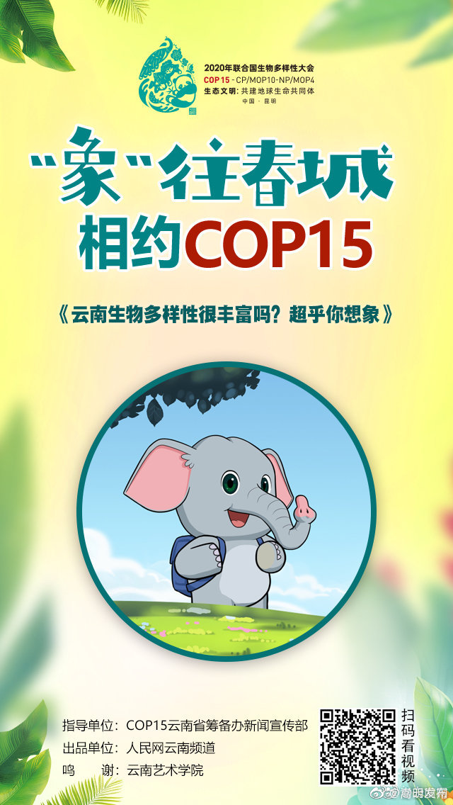 “象”往春城 相约COP15 | 云南生物多样性很丰富吗？超乎你想象