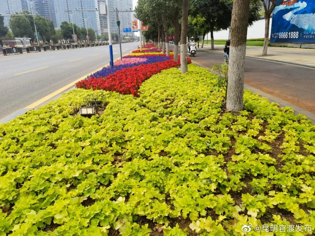 “昆明官渡发布”微博