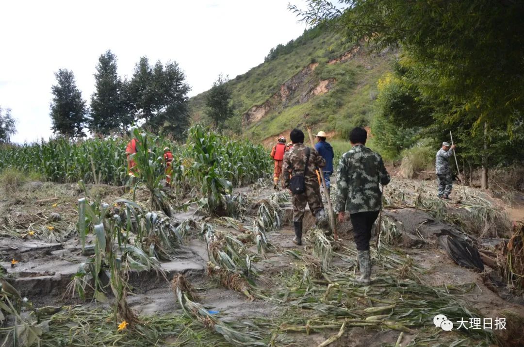 大理日报(微信)