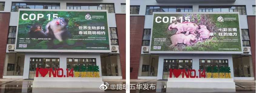“昆明五华发布”微博