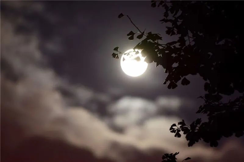 昆明信息港(微信)