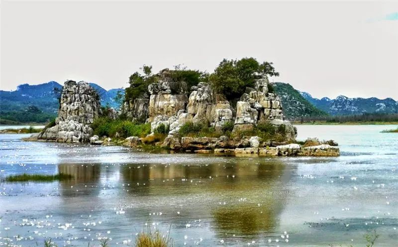 昆明信息港(微信)