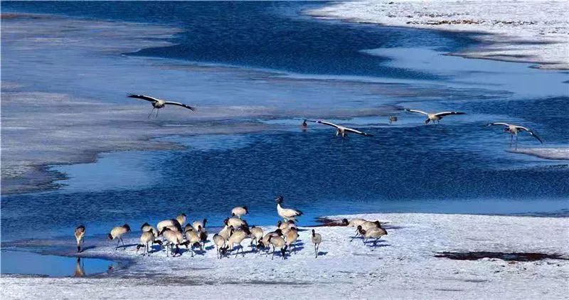 昆明信息港(微信)