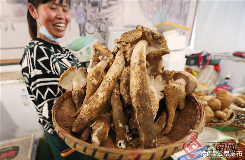 “云南发布”微博