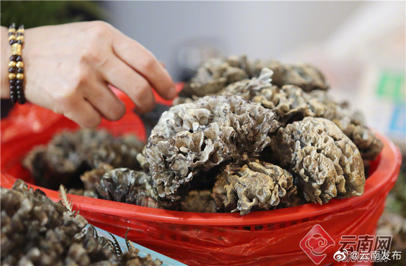 “云南发布”微博