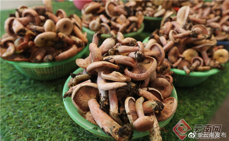 “云南发布”微博