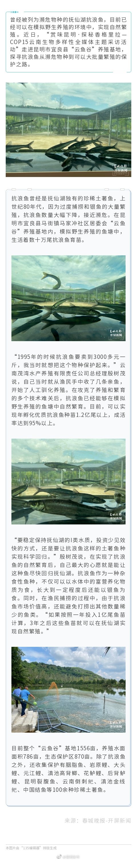 每年可孵化抗浪鱼苗1.2亿尾 昆明这个养殖基地保护着100余种珍稀土著鱼