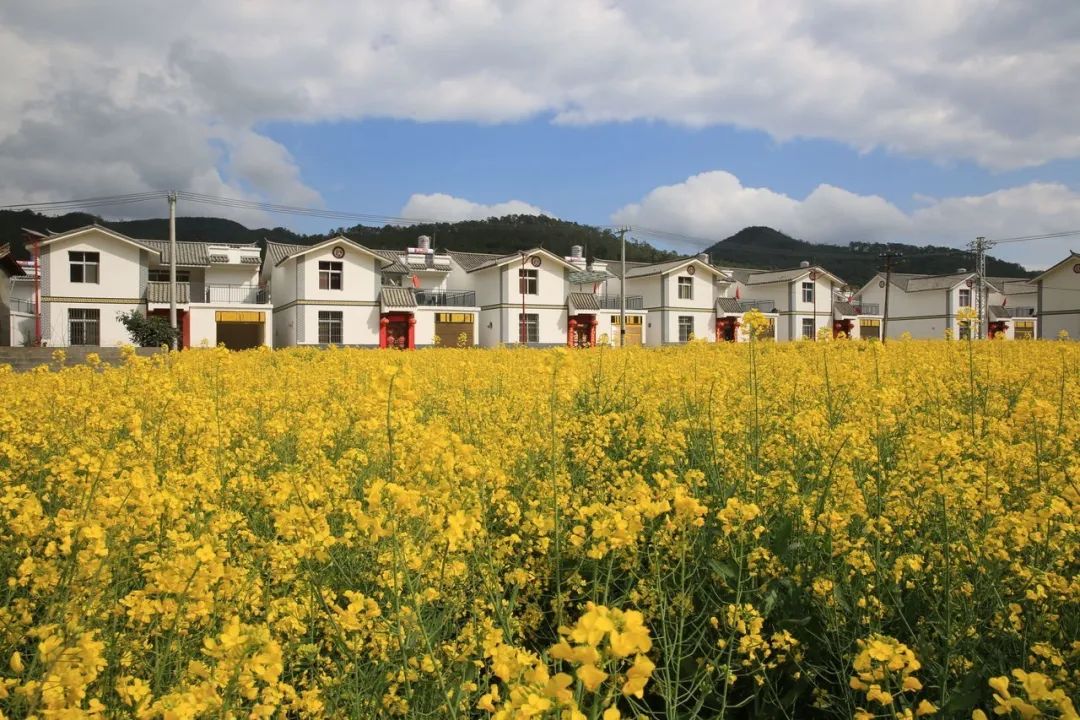 玉溪发布(微信)