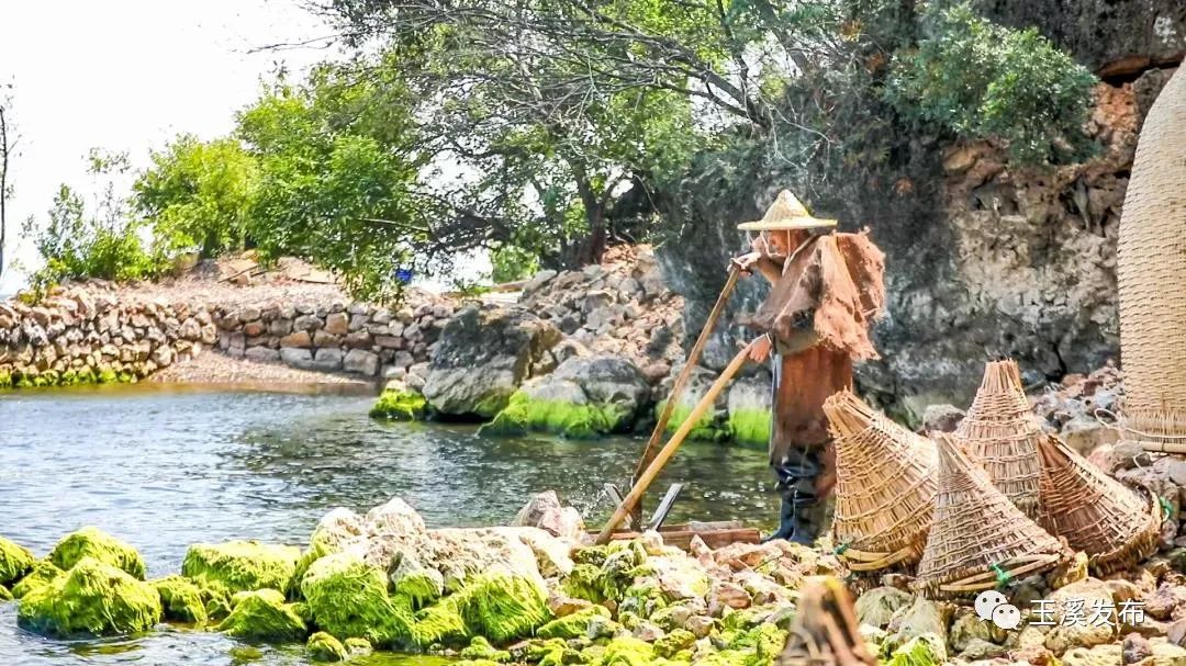 玉溪发布(微信)