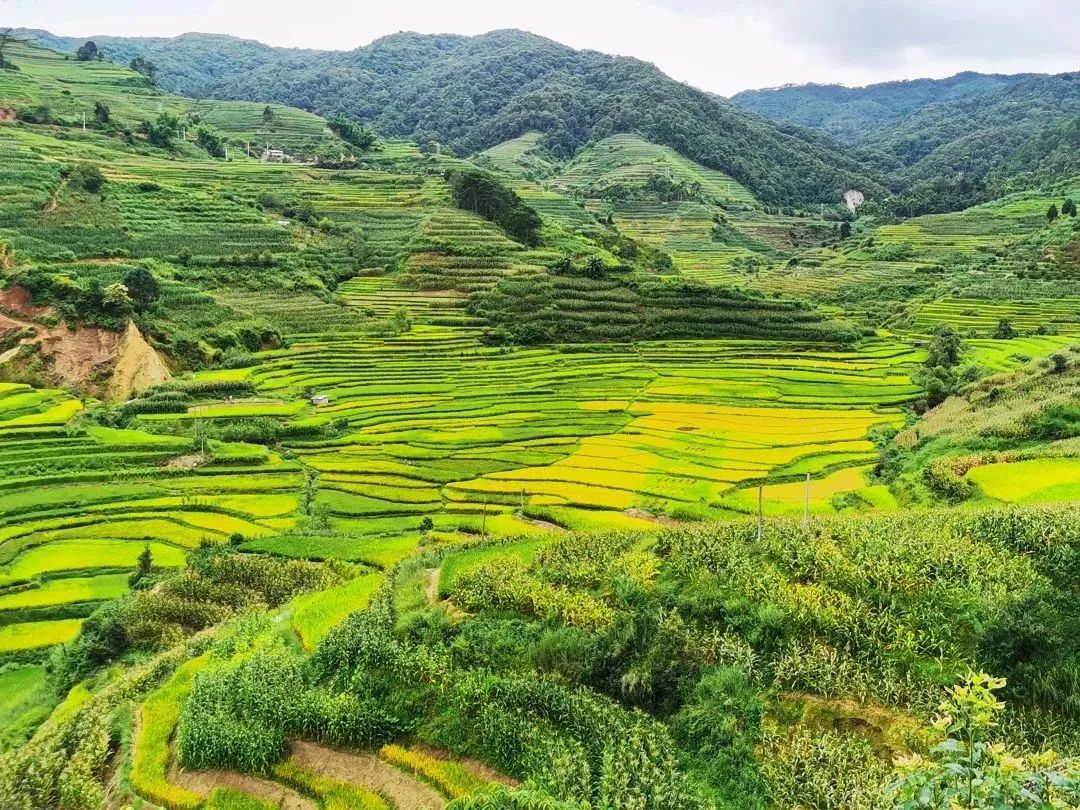 玉溪发布(微信)