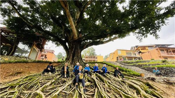 红河文旅(微信)