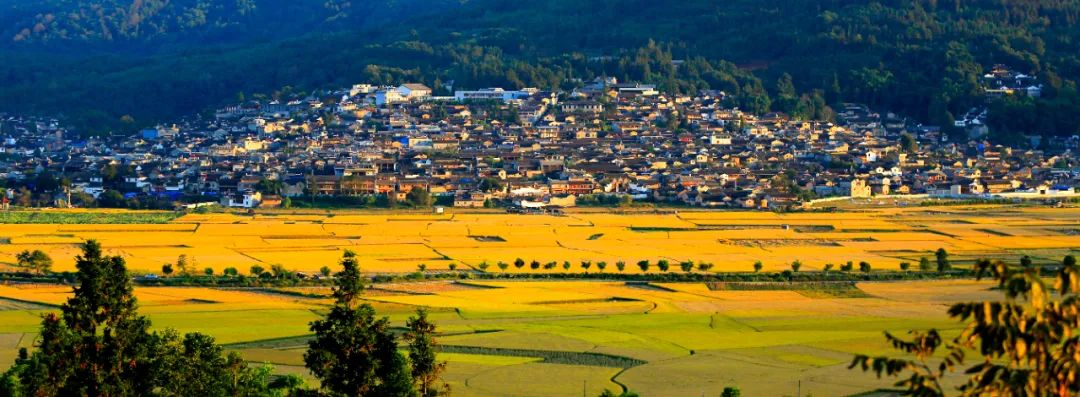 红河文旅(微信)