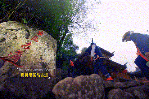 红河文旅(微信)