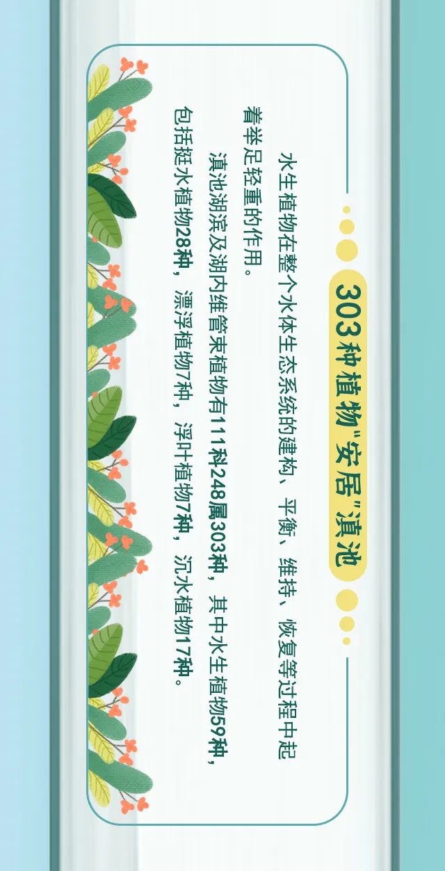 掌上春城(微信)