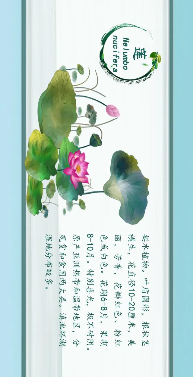 掌上春城(微信)